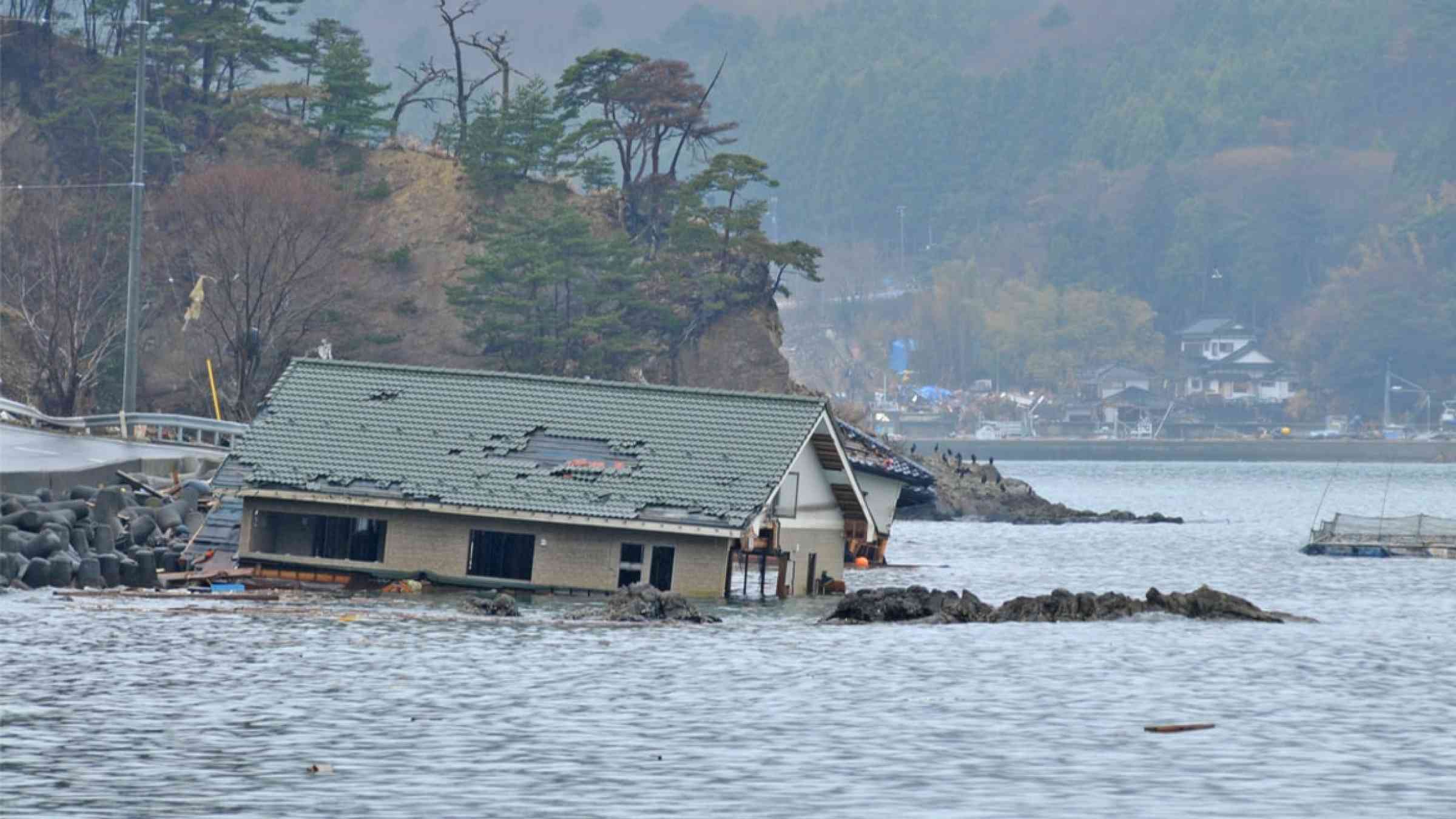 Impact of the Great East Japan Earthquake and tsunami