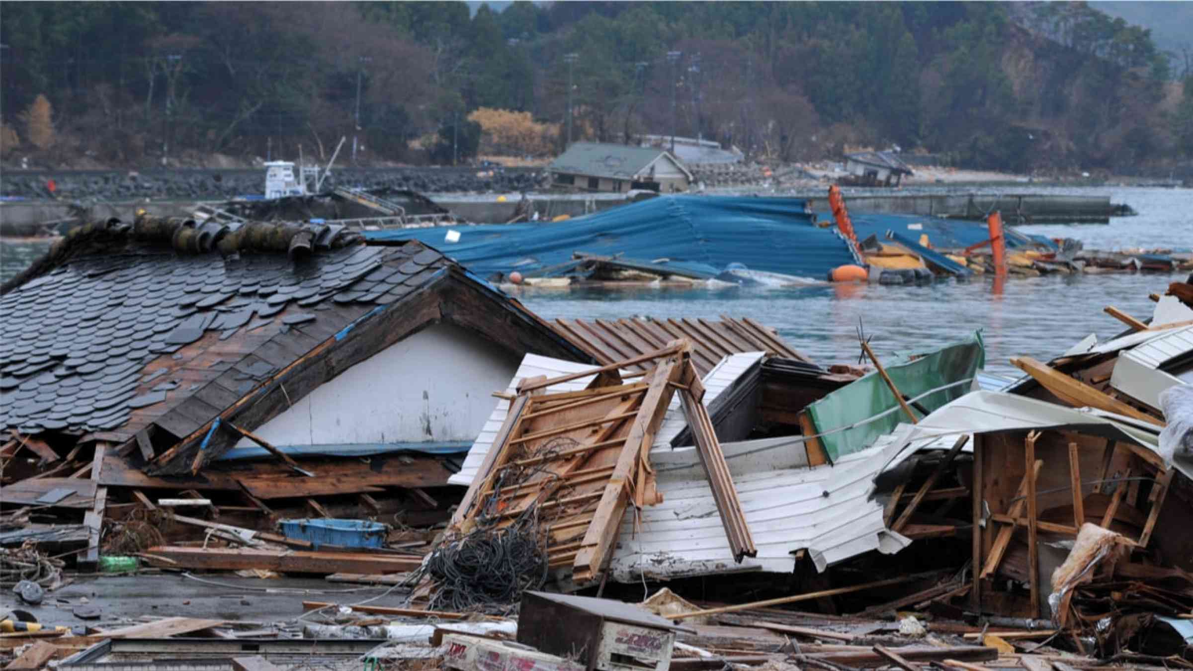 Impact of the 2011 tsunami in Japan
